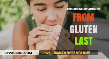 Understanding Gluten-Induced Inflammation: Duration and Relief Strategies