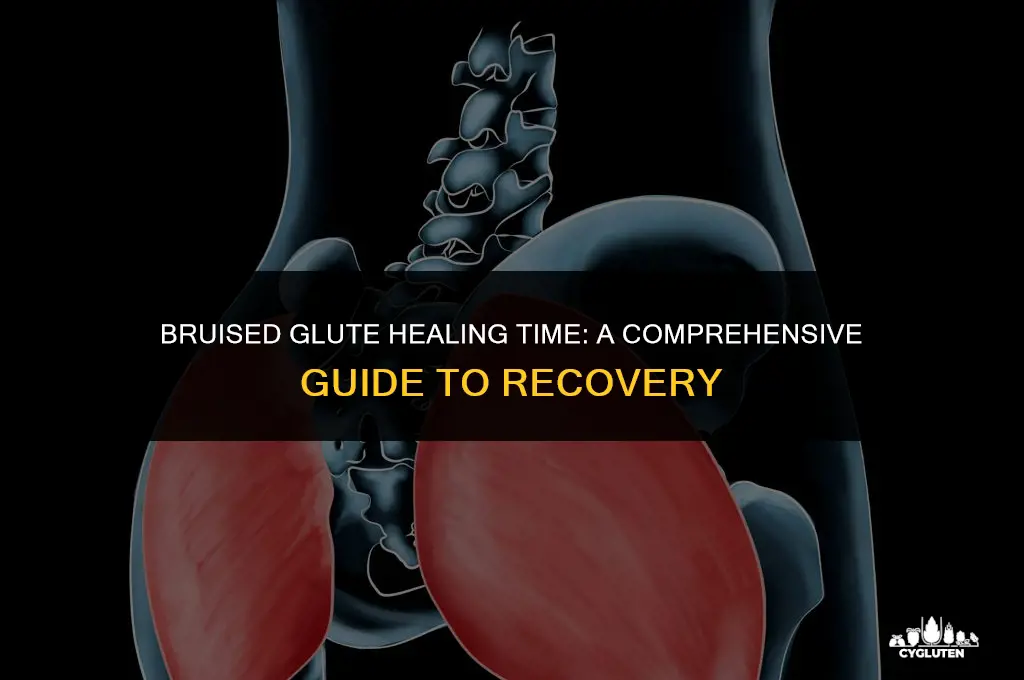 how long does it take for bruised glute to heal