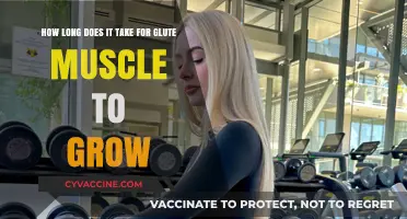 Unlocking Glute Growth: A Timeline for Building Stronger, Fuller Glutes