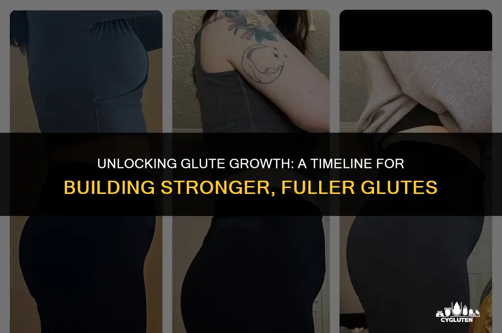 how long does it take for glute muscle to grow