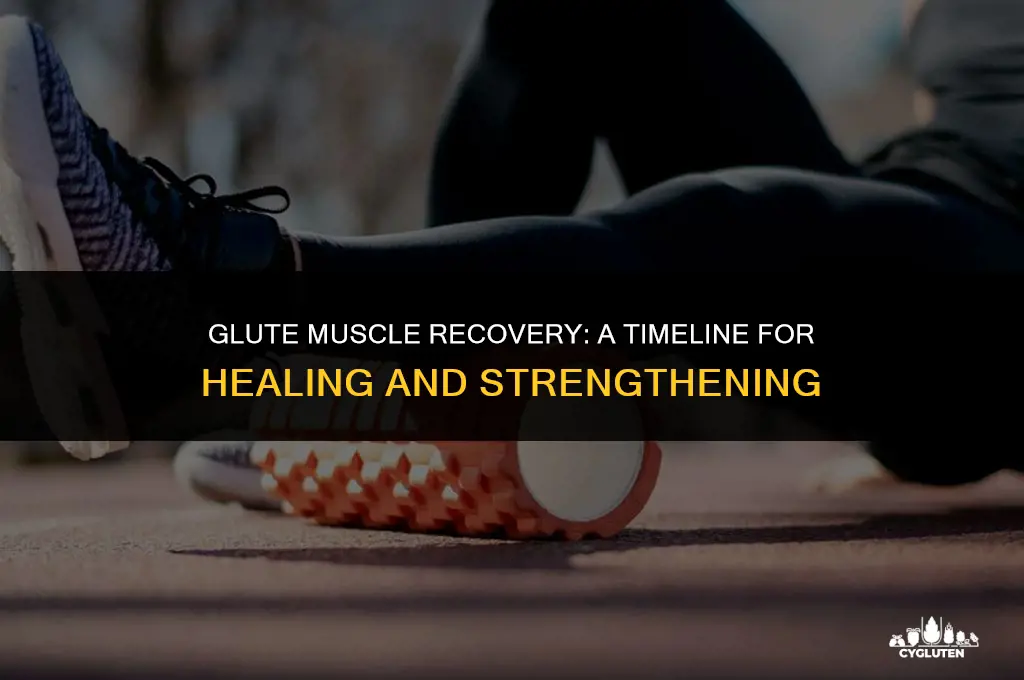 how long does it take for glute muscle to heal
