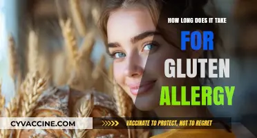 Understanding Gluten Allergy: A Timeline of Symptoms and Diagnosis