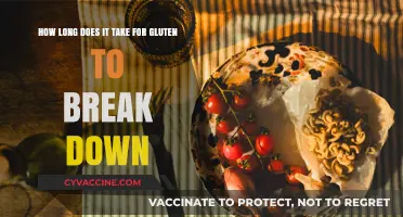 Understanding Gluten Breakdown: A Comprehensive Guide