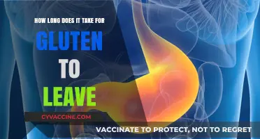 Gluten Elimination Timeline: Understanding the Process for a Healthier You