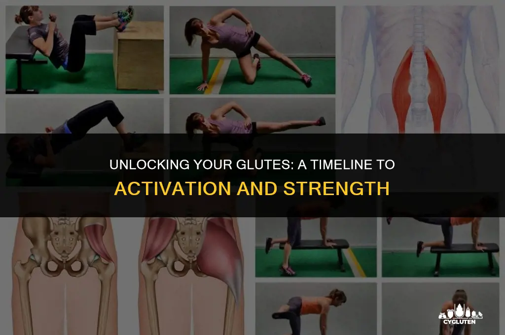 how long does it take to activate glutes