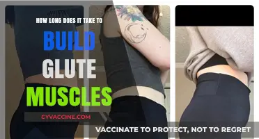 Sculpting Strong Glutes: A Timeline for Building Muscle Mass
