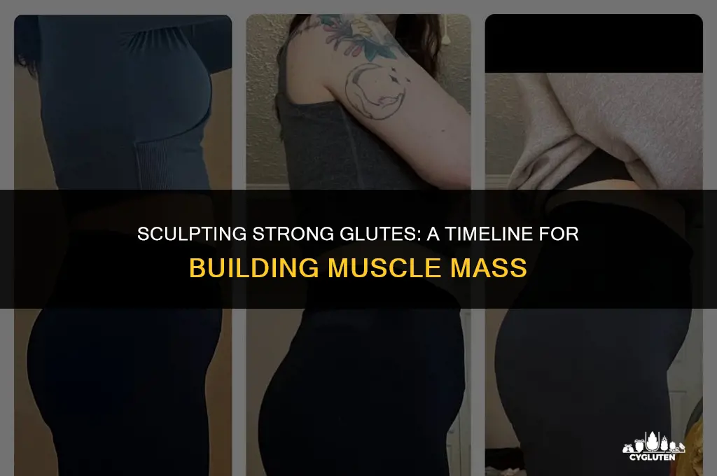 how long does it take to build glute muscles