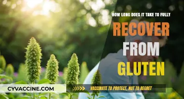 Gluten Recovery Timeline: What to Expect on Your Journey Back to Health