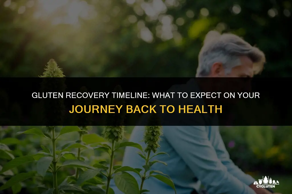 how long does it take to fully recover from gluten