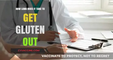 The Gluten Detox Timeline: How Long Does It Take to Get Gluten Out?