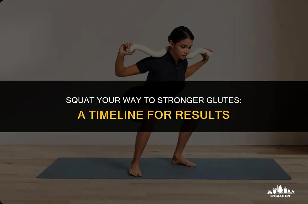how long does it take to grow glutes with squats