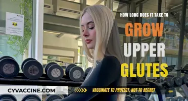 Sculpting Strong Upper Glutes: A Comprehensive Growth Timeline