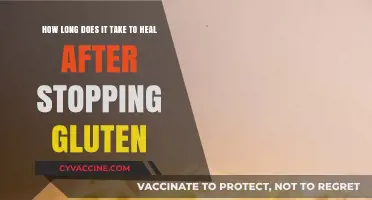 Gluten-Free Journey: Understanding the Healing Timeline After Elimination