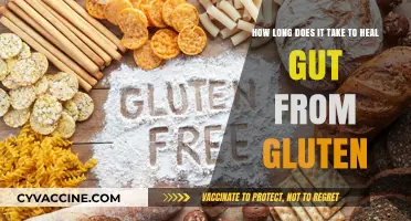 Gluten-Free Healing: A Timeline for Gut Recovery