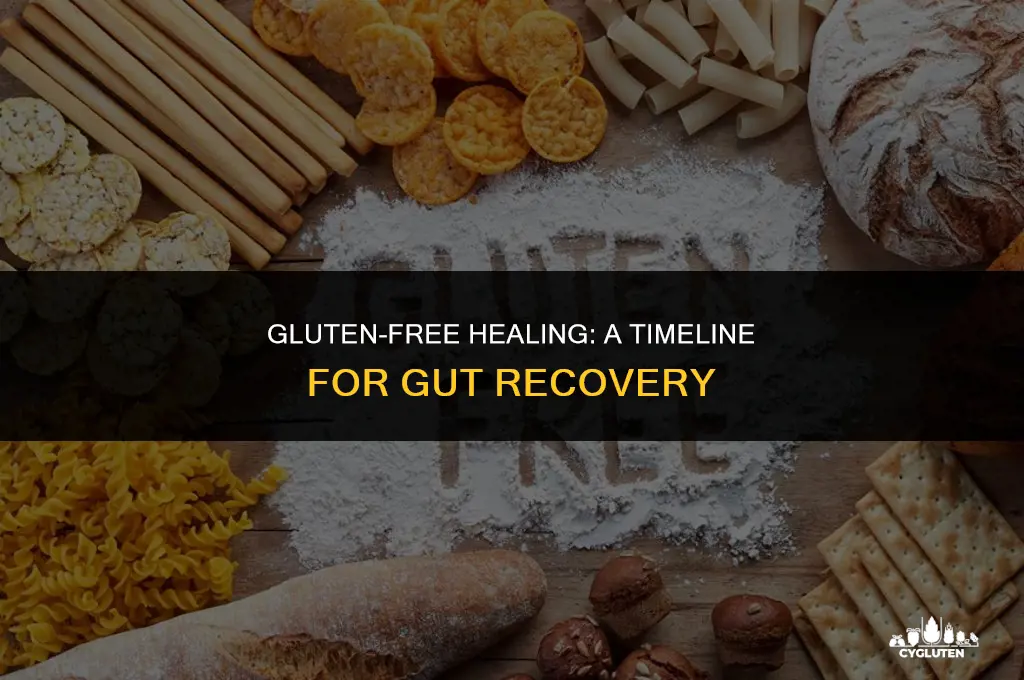 how long does it take to heal gut from gluten