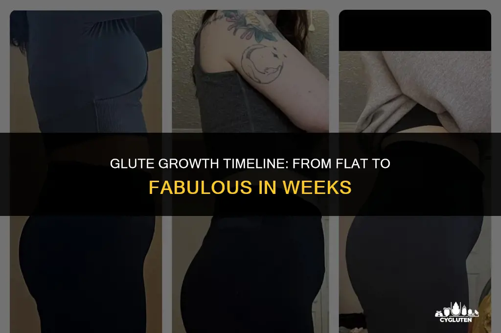 how long does it take to increase glutes