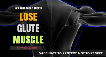 Shrinking Glutes: Understanding Muscle Loss Timeline