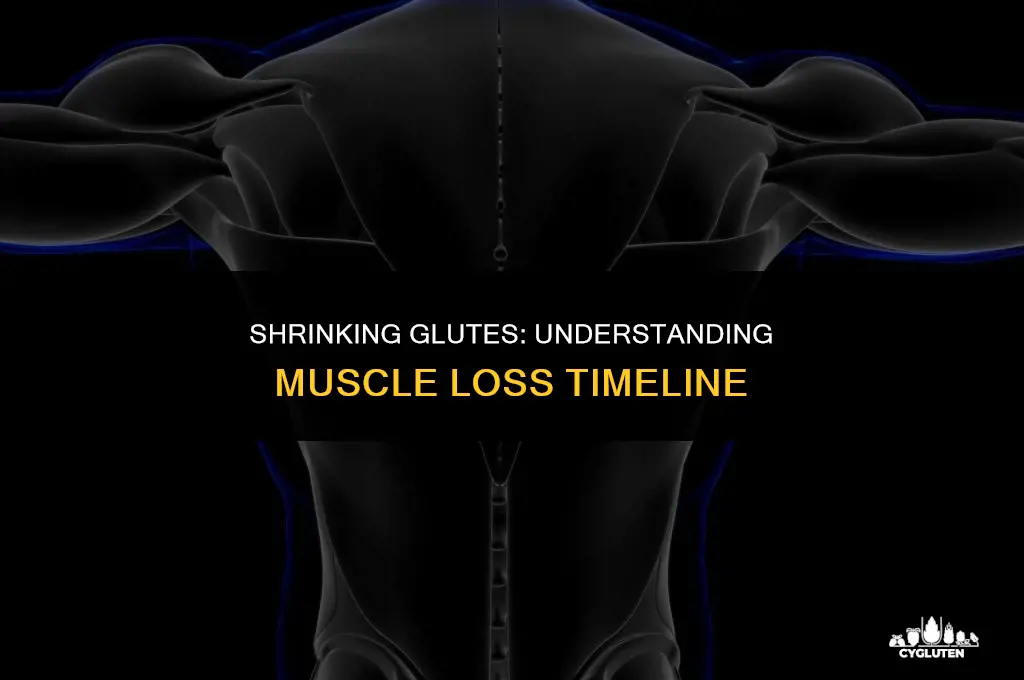 how long does it take to lose glute muscle