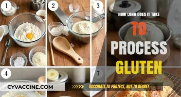 Understanding Gluten Processing Time: A Comprehensive Guide