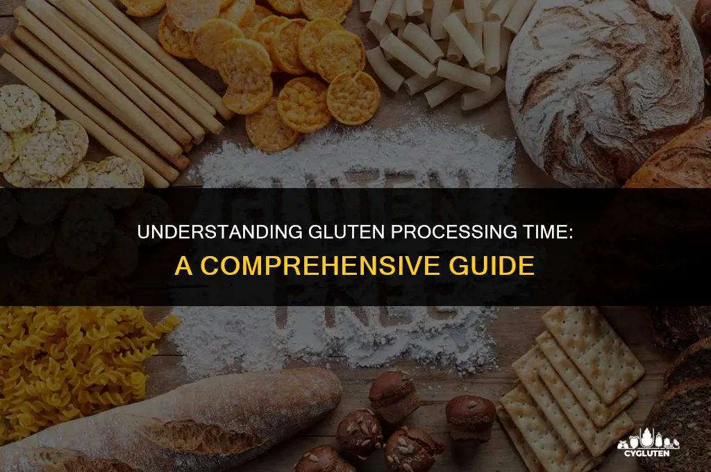 how long does it take to process gluten