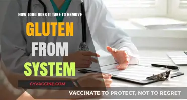 Gluten Detox Timeline: How Long Does It Take to Remove Gluten from Your System?