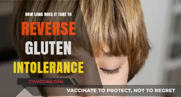 Reversing Gluten Intolerance: A Timeline to Recovery