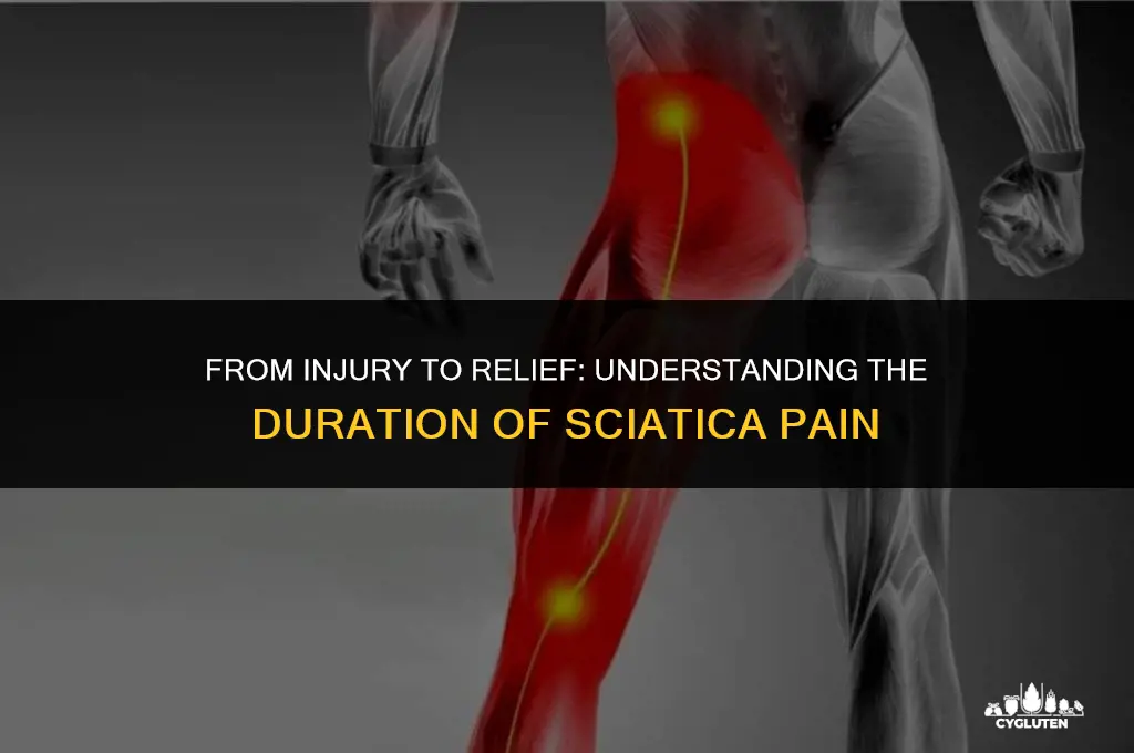 how long does sciatica pain last from injury to glute