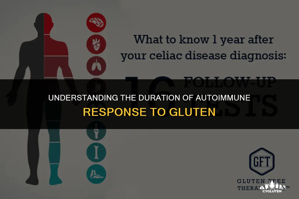 how long does the autoimmune response to gluten last