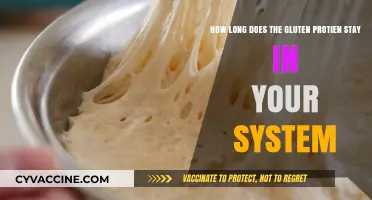Understanding Gluten Persistence: A Guide to Its Duration in Your Body