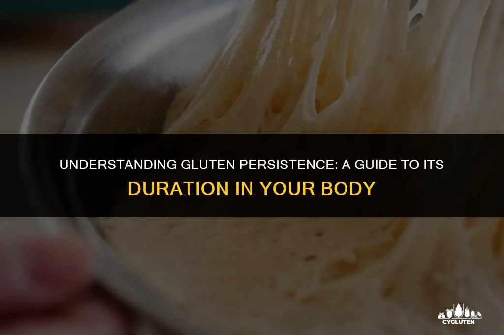 how long does the gluten protien stay in your system