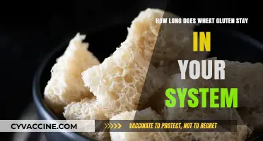 Understanding Wheat Gluten's Presence in Your Body