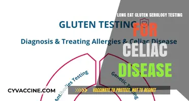 Understanding Gluten Serology Testing Duration for Celiac Disease Diagnosis
