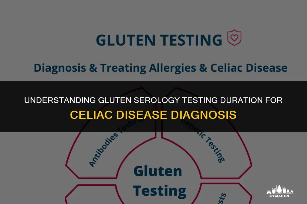 how long eat gluten serology testing for celiac disease