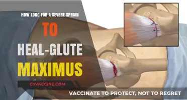Healing Time for Severe Glute Maximus Sprain: A Comprehensive Guide