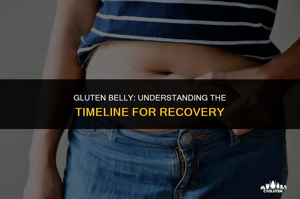 how long for gluten belly to go away