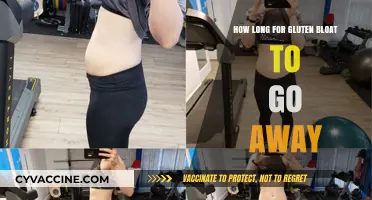 Relief from Gluten Bloat: A Timeline for Your Tummy Troubles