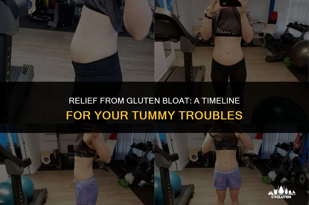 how long for gluten bloat to go away
