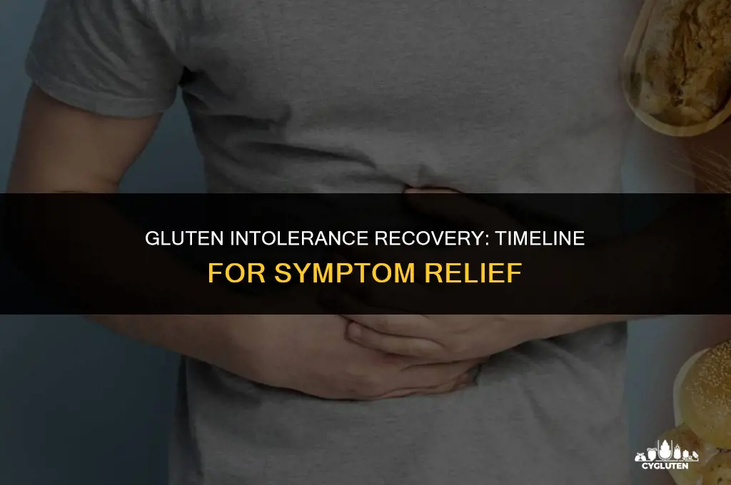 how long for gluten intolerance symptoms to go away