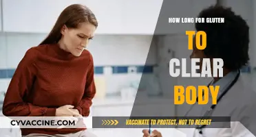 Gluten Detox Timeline: How Long Does It Take to Clear Your Body?