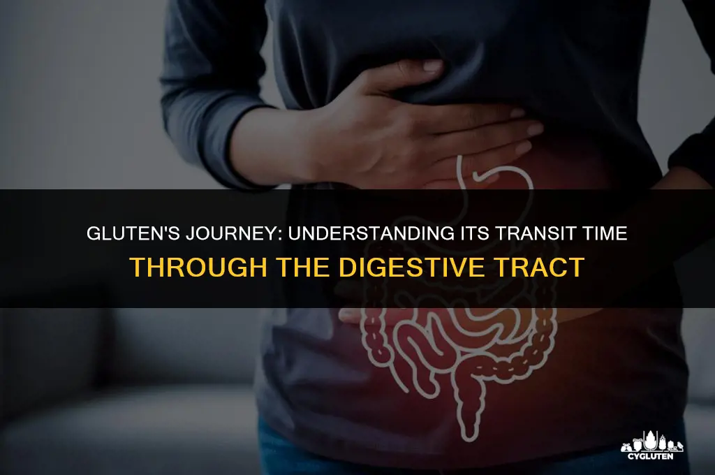 how long for gluten to move thru gut