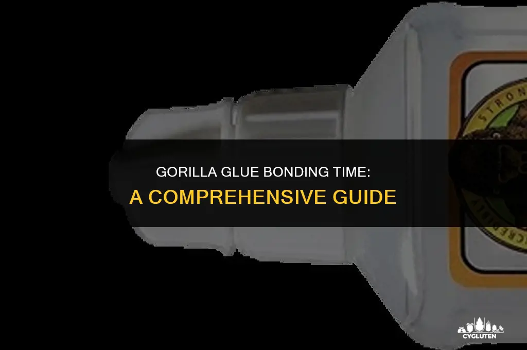 how long for gorilla glut to bond