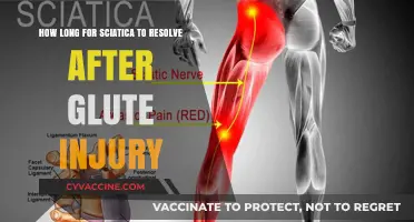 Recovering from Sciatica: Timeline for Healing After Glute Injury