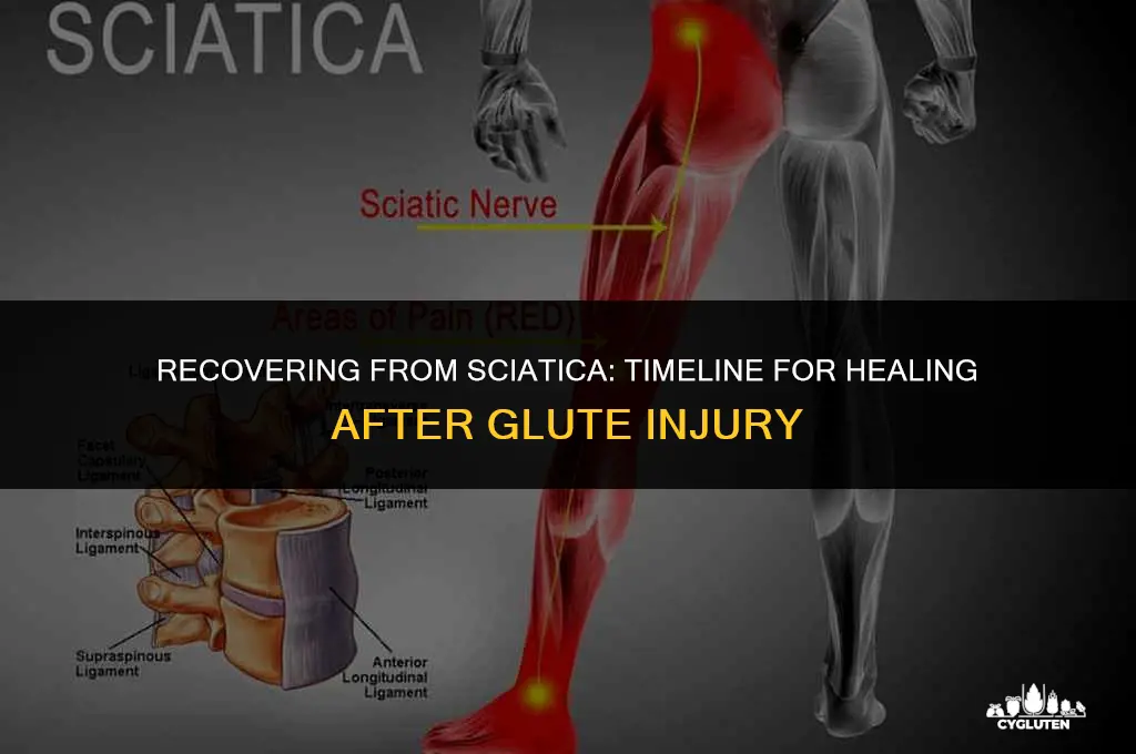 how long for sciatica to resolve after glute injury