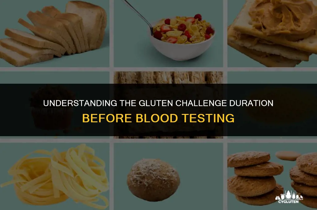 how long gluten challenge before blood test
