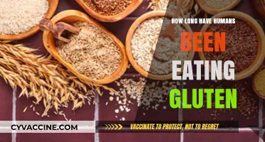 Unraveling the Ancient Origins of Gluten in Human Diets