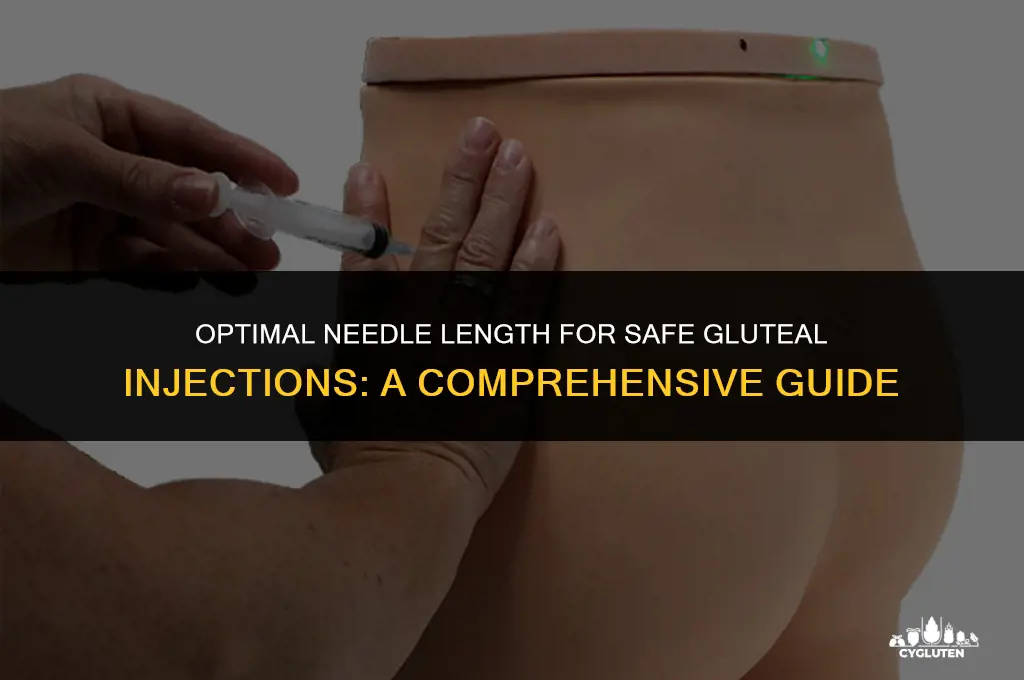 how long needles should use for glute im injections