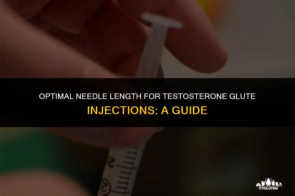 how long of a needle for testosterone glute injection site