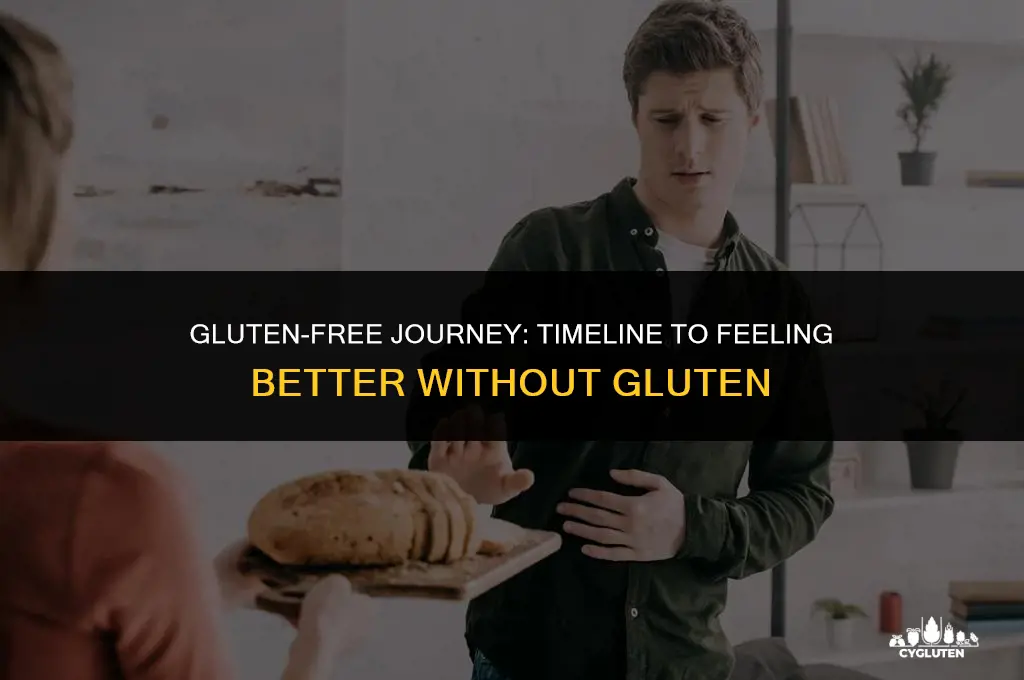 how long off gluten before feel better