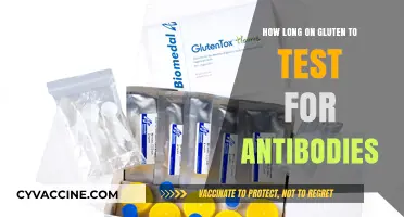 Understanding Gluten Sensitivity: A Guide to Antibody Testing Duration