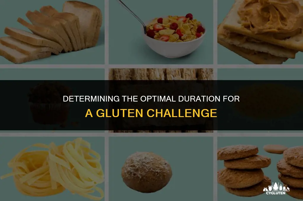 how long should a gluten challenge be